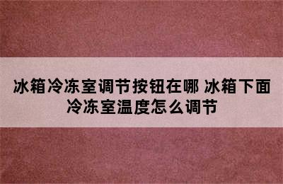 冰箱冷冻室调节按钮在哪 冰箱下面冷冻室温度怎么调节